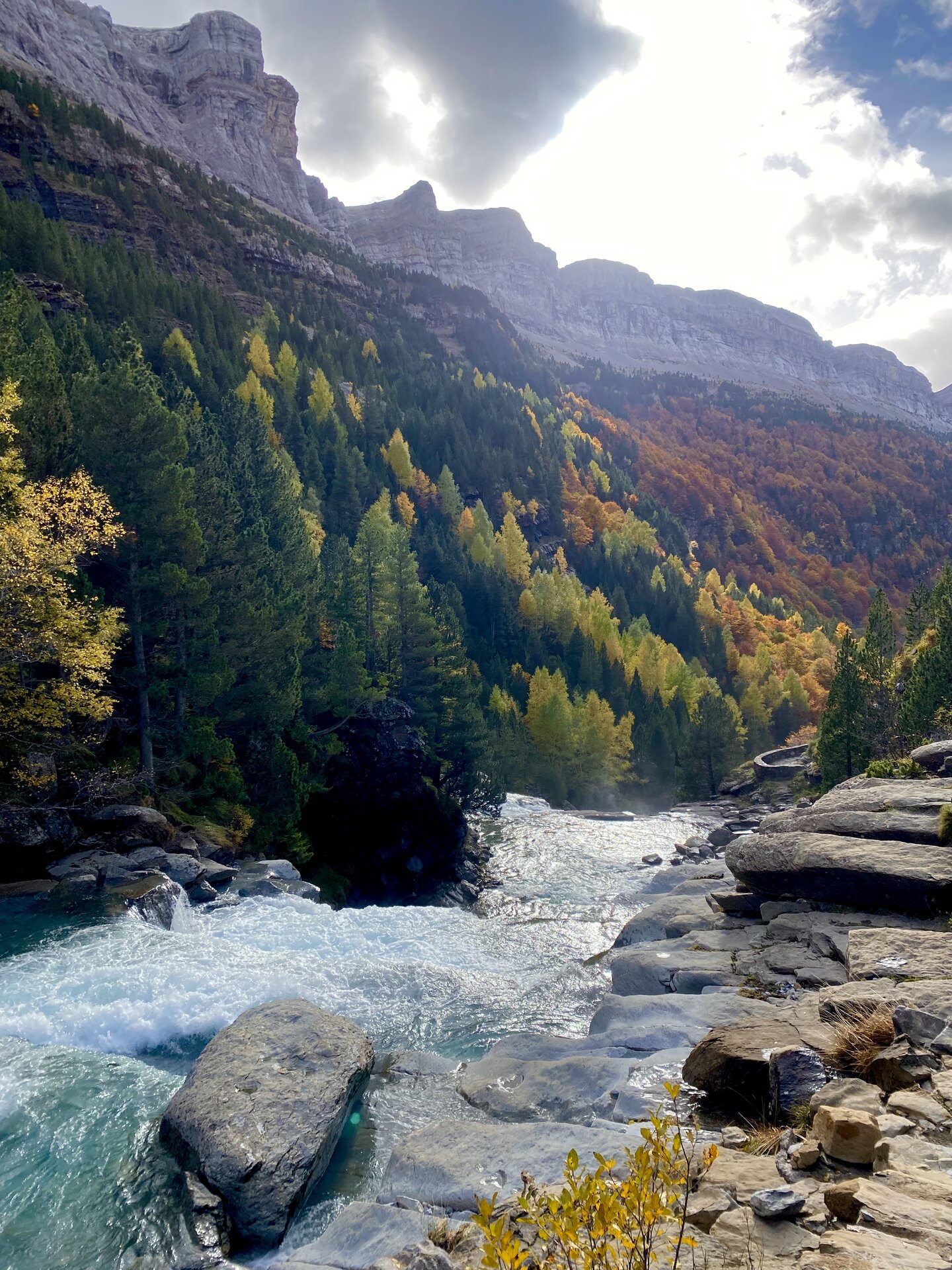 Pyrenees mountains